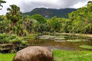 Botanischer Garten in Rio de Janeiro 