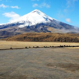 Der aktive Vulkan Cotopaxi