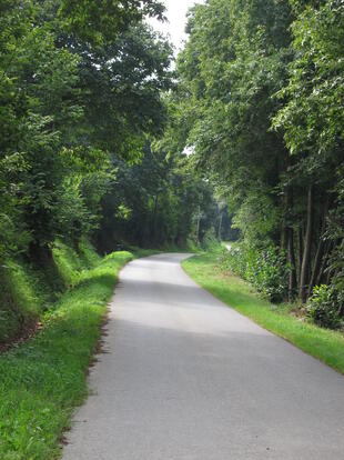 Straße in der Bretagne
