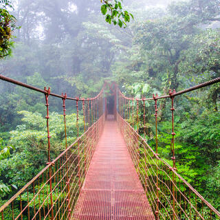 Hängebrücken im Monteverde Nationalpark