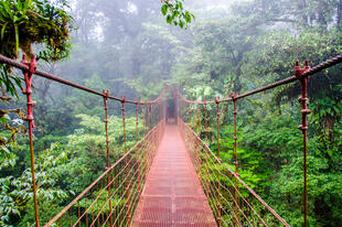 Hängebrücken im Monteverde Nationalpark