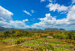 Finca Agroecológica El Paraíso