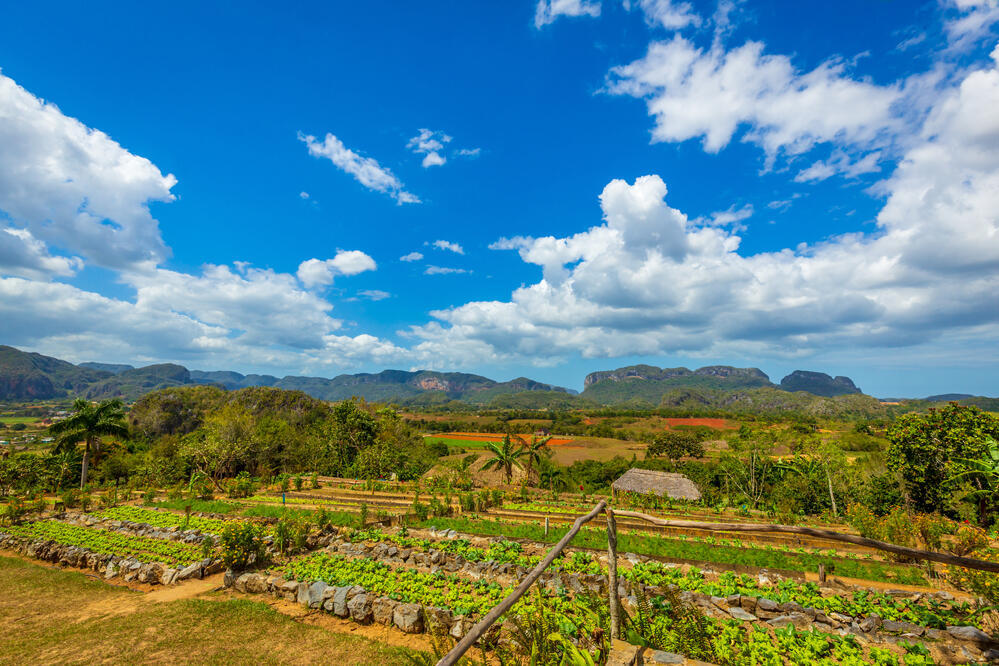 Finca Agroecológica El Paraíso 