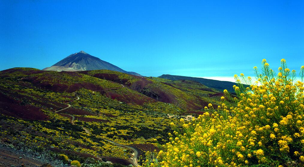 wunderschönes Panorama im Teide