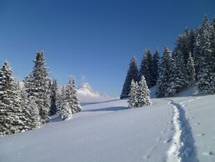 Winterlandschaft im Lechtal