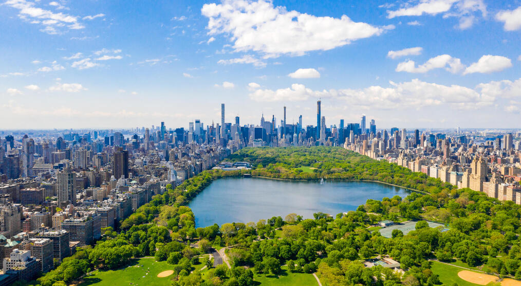 Central Park in New York City