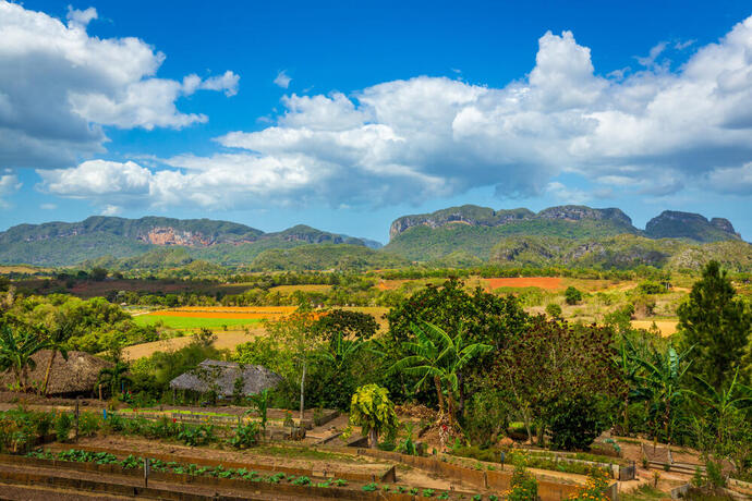 Finca Agroecologica El Paraiso