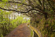 Wandern entlang der Serra do Faial