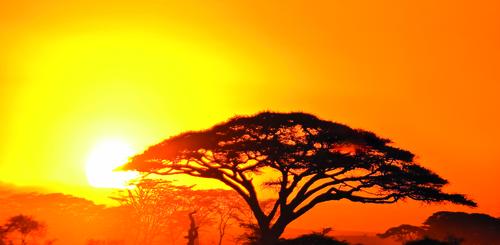 Sonnenuntergang über Kenia