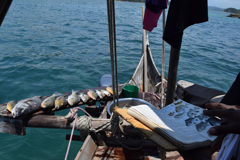 Traditioneller Fischfang