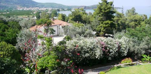 Blick vom Hotel auf Palea Epidaurus