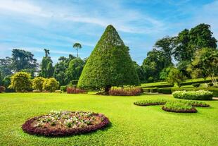 Botanischer Garten in Kandy