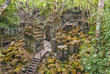Beng Mealea Temple