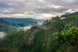 Bwindi Impenetrable Forest Nationalpark