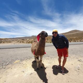 SKR-Gast mit Alpaka in Peru