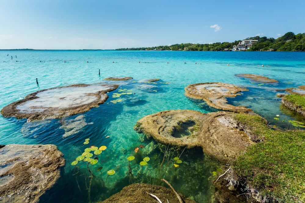 Stromatolithen in Bacalar