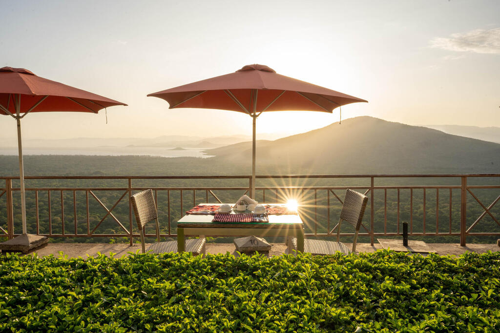 Terrasse