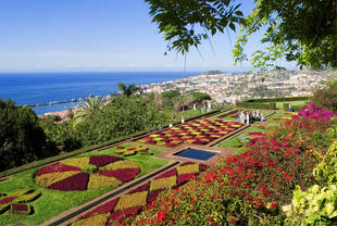 Botanischer Garten mit Blick auf Funchal 