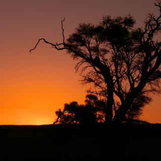 Sonnenuntergang in Namibia