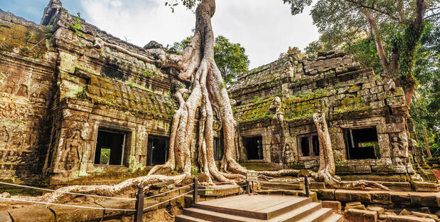 Blick auf den Ta Prohm Tempel bei einer 25 Tage Indochina Rundreise