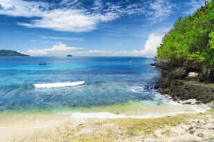 Tropischer Strand