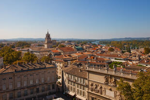 Avignon