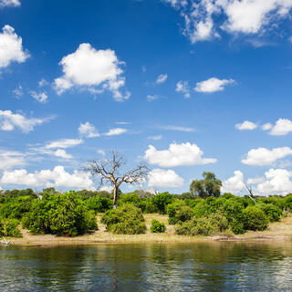 Chobe Nationalpark