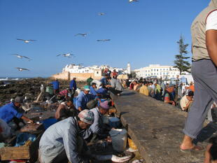 Fischmarkt in Essaouira 