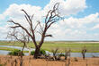 Landschaft im Chobe-Nationalpark