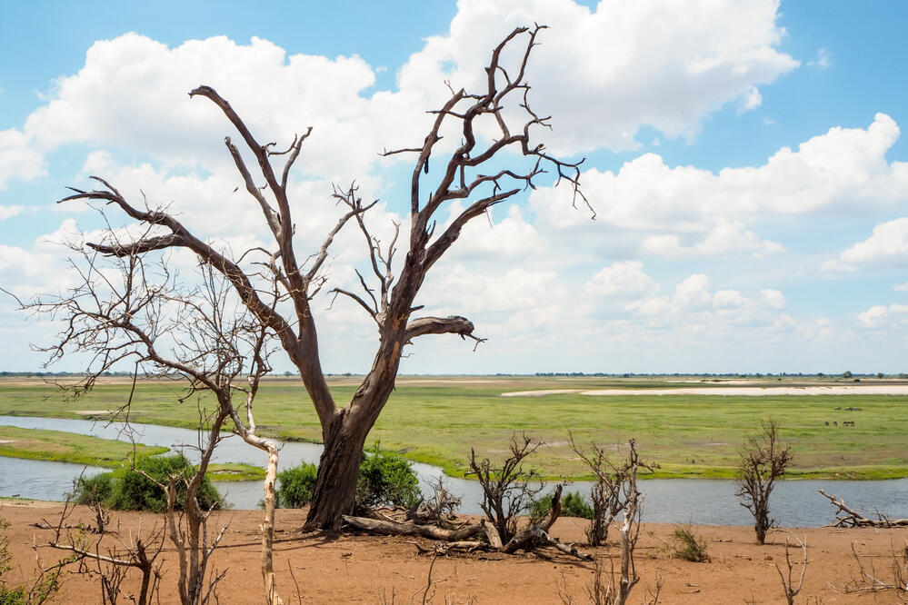 Landschaft im Chobe-Nationalpark