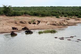 Kazinga Kanal 