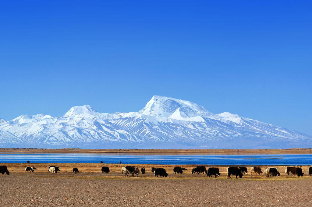 Manasarovar See