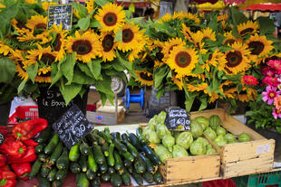 Sonneblumen und Gemüse auf dem Markt von Aix-en-Provence
