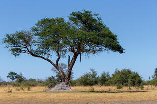 Namibia Landschaft