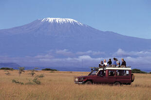 Spannende Safari vor dem Kilimanjaro