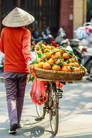 Vietnamesische Straßenhändlerin