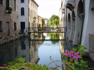 Kanal mit Blume