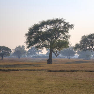 Landschaft im Nationalpark von Sambia