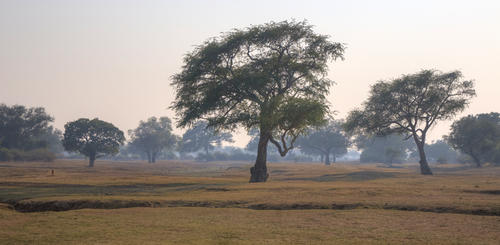 Landschaft im Nationalpark von Sambia