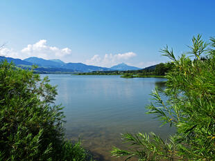 Der Gruentensee nahe Oy-Mittelburg 