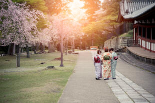 Frauen im Kimono in Nara Park
