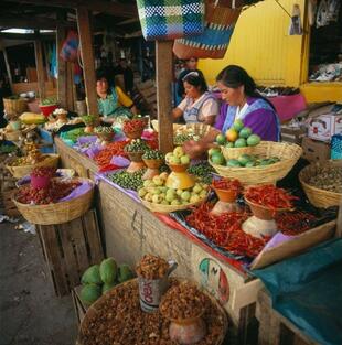 Markt in San Cristobal