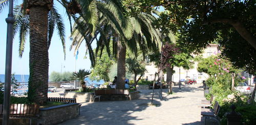 Palmen an der Promenade