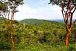 UNESCO-Biosphärenreservat Sierra del Rosario