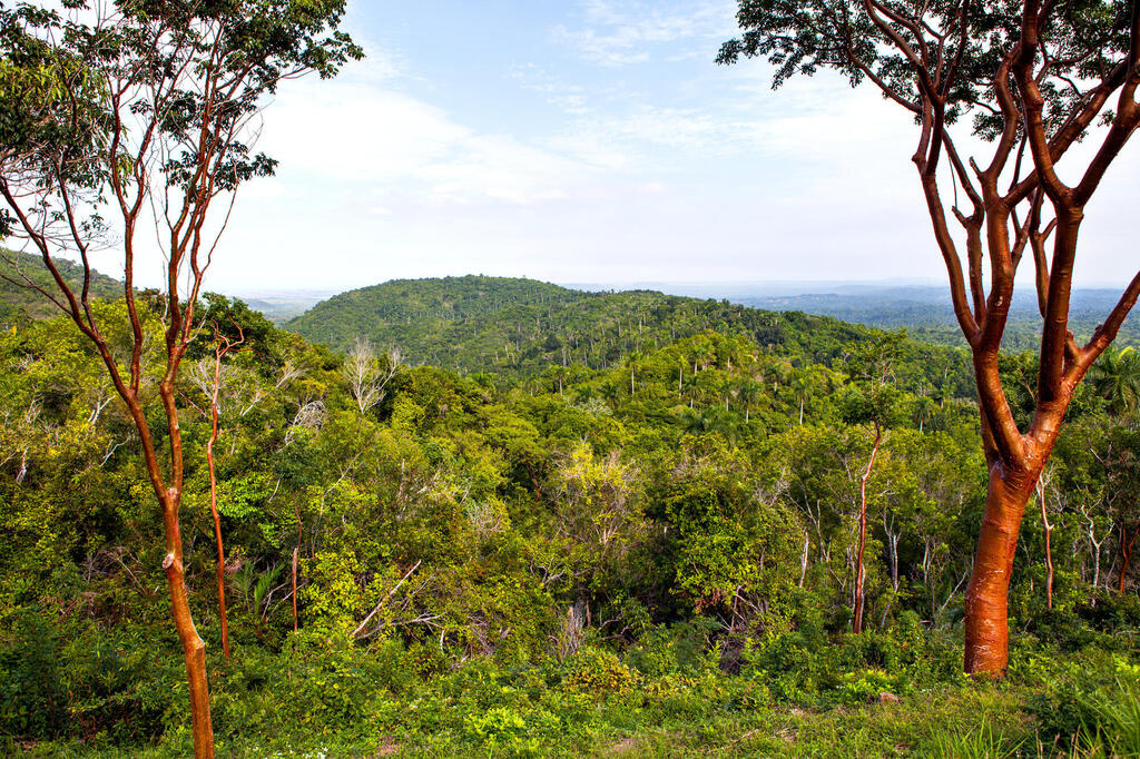 UNESCO-Biosphärenreservat Sierra del Rosario
