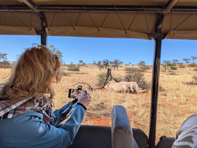 Nashörner in der Kalahari-Wüste