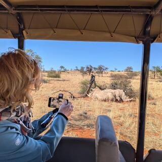 Nashörner in der Kalahari-Wüste