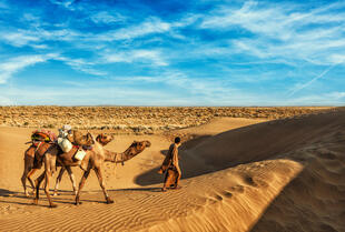 Kamelritt in der Wüste bei Jaisalmer