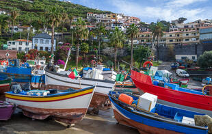 Fischerboote Camara de Lobos