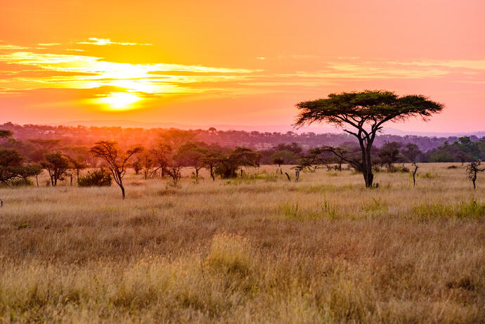 Safari bei Sonnenaufgang